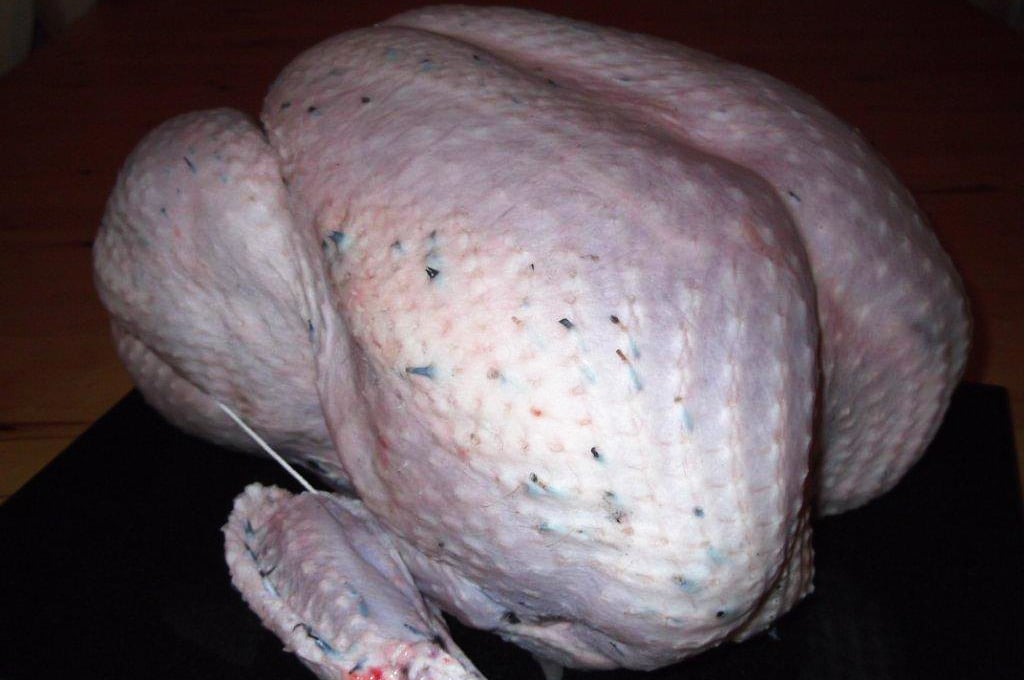 Home Reared Norfolk Black Free Range Christmas Turkey-95